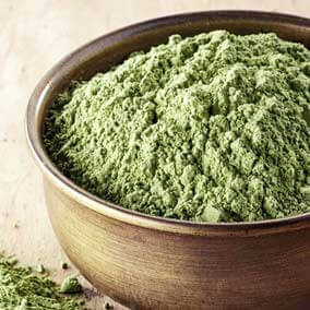 Chlorella 